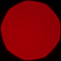 Samyang AF 85 mm f/1.8 P FE - Koma, astygmatyzm i bokeh