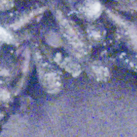 Fujifilm X-E5 - Zakres i dynamika tonalna