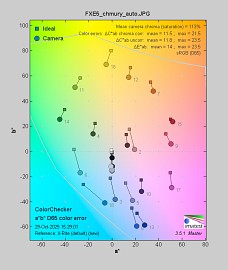 Fujifilm X-E5 - Balans bieli