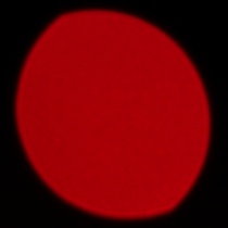 Sigma S 200 mm f/2 DG OS - Koma, astygmatyzm i bokeh