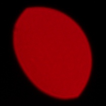 Sigma S 200 mm f/2 DG OS - Koma, astygmatyzm i bokeh