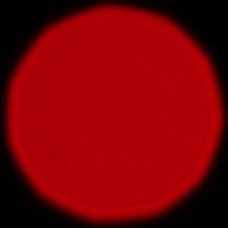 Sigma S 200 mm f/2 DG OS - Koma, astygmatyzm i bokeh