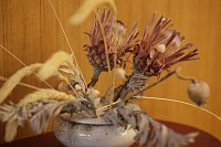 Canon EOS R6 Mark III - Zdj�cia przyk�adowe