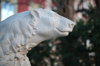 Viltrox AF 85 mm f/2 EVO - zdjcia przykadowe