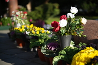 Viltrox AF 85 mm f/2 EVO - zdjcia przykadowe