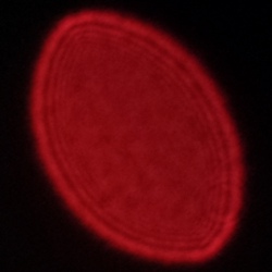 Fujifilm Fujinon XF 23 mm f/2.8 R WR - Koma, astygmatyzm i bokeh