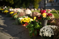 Viltrox AF 35 mm f/1.2 LAB - zdjcia przykadowe