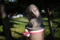 Viltrox AF 35 mm f/1.2 LAB - zdjcia przykadowe