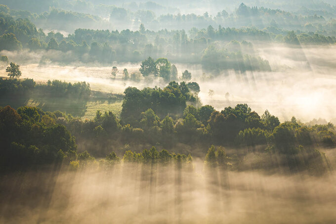 Wkrtce wyniki konkursu fotograficznego e-oko