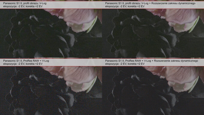 Panasonic Lumix S1 II - test trybu filmowego - Użytkowanie Panasonic Lumix S1 II - test trybu filmowego - Użytkowanie