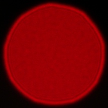 Viltrox AF 85 mm f/2 EVO - Koma, astygmatyzm i bokeh