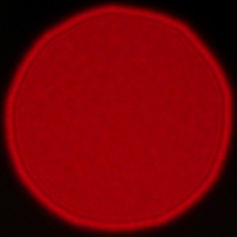 Viltrox AF 85 mm f/2 EVO - Koma, astygmatyzm i bokeh