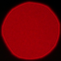 Viltrox AF 85 mm f/2 EVO - Koma, astygmatyzm i bokeh