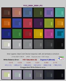 Panasonic Lumix S1 II - Balans bieli