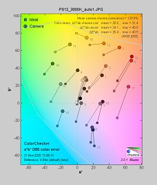 Panasonic Lumix S1 II - Balans bieli