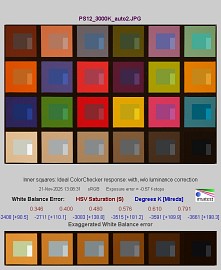 Panasonic Lumix S1 II - Balans bieli