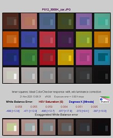 Panasonic Lumix S1 II - Balans bieli