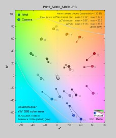 Panasonic Lumix S1 II - Balans bieli