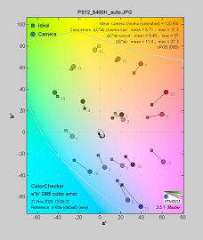 Panasonic Lumix S1 II - Balans bieli