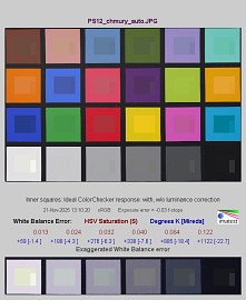 Panasonic Lumix S1 II - Balans bieli