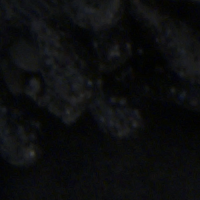 Panasonic Lumix S1 II - Zakres i dynamika tonalna