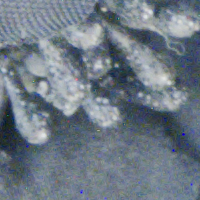 Panasonic Lumix S1 II - Zakres i dynamika tonalna