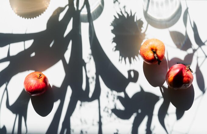 Wyniki konkursu fotograficznego e-oko.pl