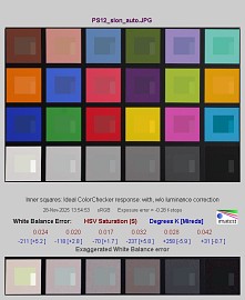 Panasonic Lumix S1 II - Balans bieli