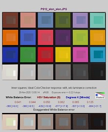 Panasonic Lumix S1 II - Balans bieli