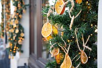 Zdjcie przykadowe nr: 11