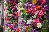 Zdjcie przykadowe nr: 24