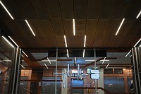 Zdjcie przykadowe nr: 35