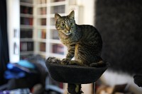 Zdjcie przykadowe nr: 36