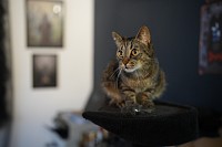 Zdjcie przykadowe nr: 37