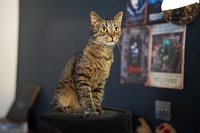 Zdjcie przykadowe nr: 38