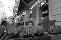 Zdjcie przykadowe nr: 13