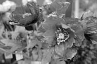 Zdjcie przykadowe nr: 23