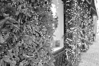 Zdjcie przykadowe nr: 36