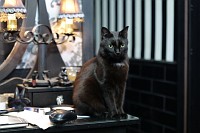 Panasonic Lumix S1 II - Zdj�cia przyk�adowe