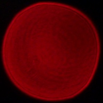 Panasonic Lumix S 18 mm f/1.8 - Koma, astygmatyzm i bokeh