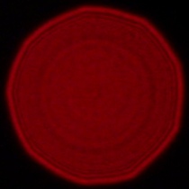 Panasonic Lumix S 18 mm f/1.8 - Koma, astygmatyzm i bokeh