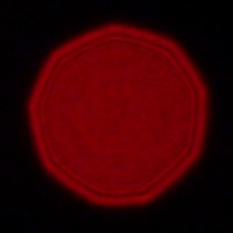 Panasonic Lumix S 18 mm f/1.8 - Koma, astygmatyzm i bokeh