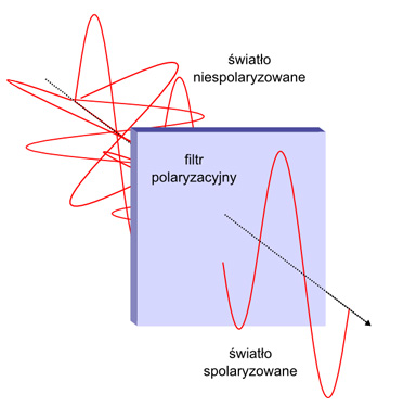 Filtry polaryzacyjne - podstawy - Fotoszkoa Fomei i Marumi: Lekcja 2