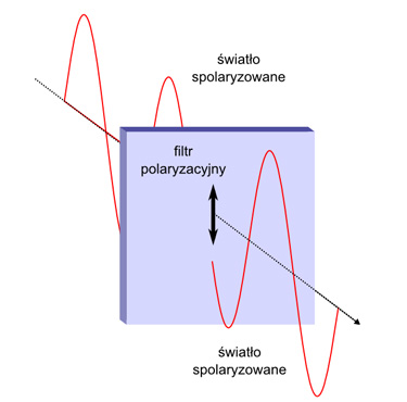 Filtry polaryzacyjne - podstawy - Fotoszkoa Fomei i Marumi: Lekcja 2