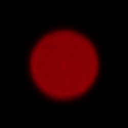 Sigma C 20-200 mm f/3.5-6.3 DG - Aberracja chromatyczna i sferyczna