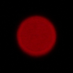 Sigma C 20-200 mm f/3.5-6.3 DG - Aberracja chromatyczna i sferyczna