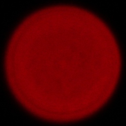 Sigma C 20-200 mm f/3.5-6.3 DG - Aberracja chromatyczna i sferyczna