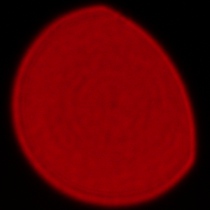 Sigma C 20-200 mm f/3.5-6.3 DG - Koma, astygmatyzm i bokeh