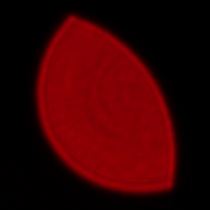 Sigma C 20-200 mm f/3.5-6.3 DG - Koma, astygmatyzm i bokeh