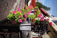 Leica APO-Summicron-SL 35 mm f/2 ASPH. - Zdj�cia przyk�adowe